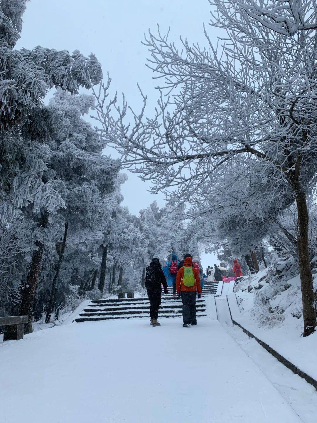 衡阳降雪视频高清下载网站(衡阳降雪视频高清下载网站最新)