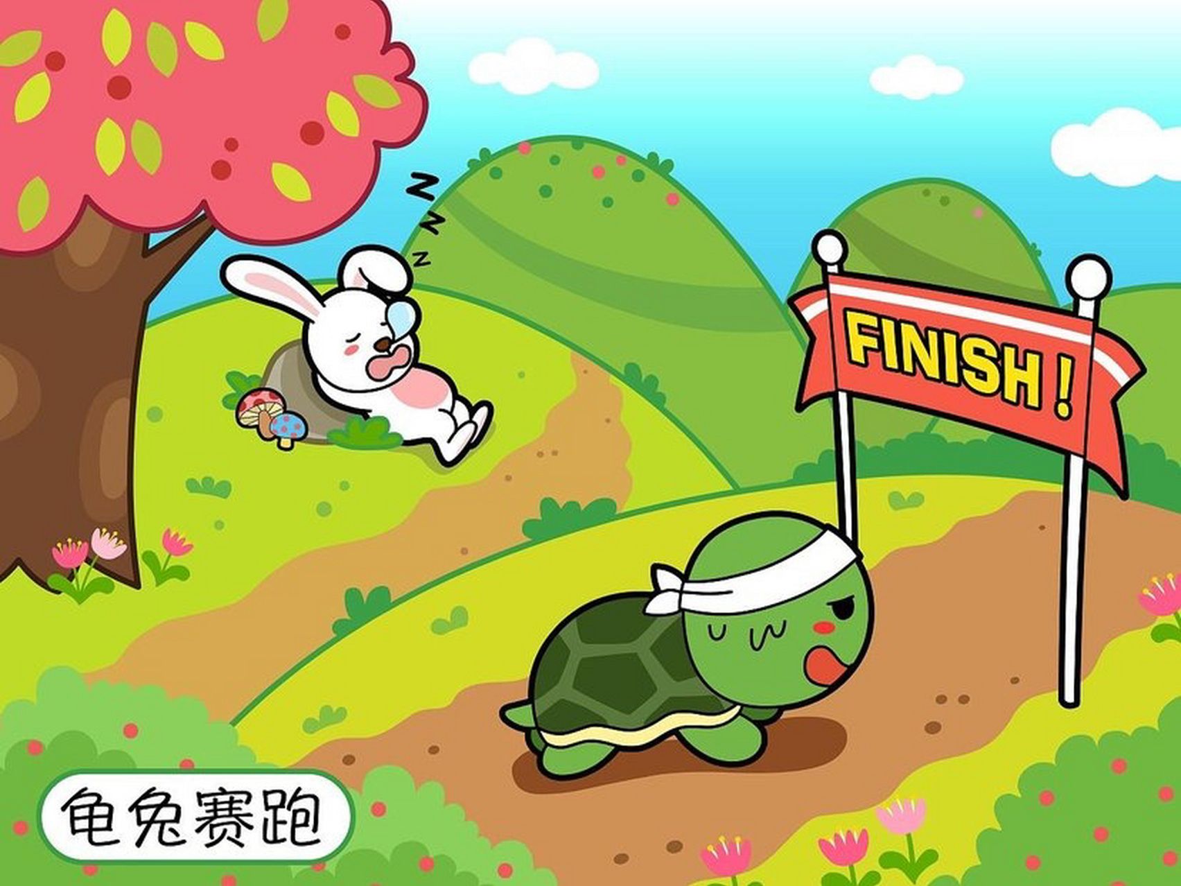 乌龟解救视频播放全集下载_(乌龟视频大全视频儿童版在线看)