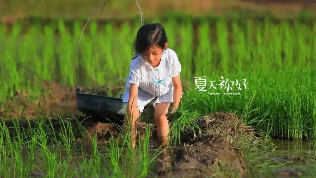 农耕乐趣歌曲大全视频下载-(农耕乐趣歌曲大全视频下载播放)